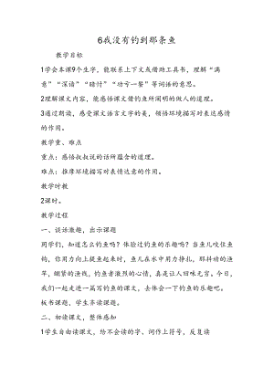 6 我没有钓到那条鱼.docx