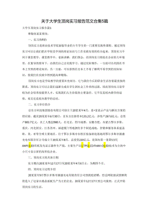 关于大学生顶岗实习报告范文合集5篇.docx
