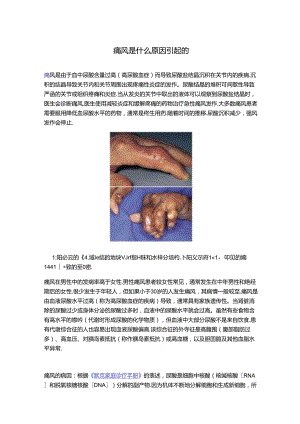 痛风是什么原因引起的.docx