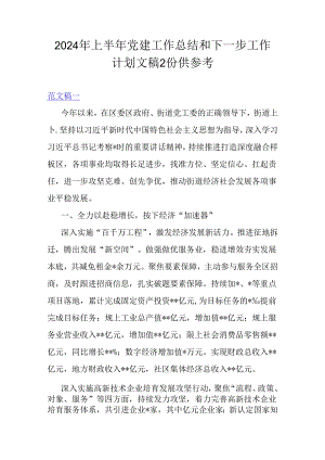 2024年上半年党建工作总结和下一步工作计划文稿2份供参考.docx