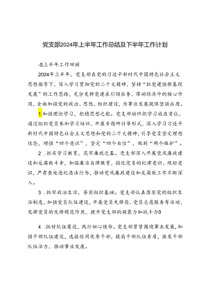 3篇范文 党支部2024年上半年工作总结及下半年工作计划.docx