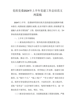 党组党委2024年上半年党建工作总结范文两篇稿.docx
