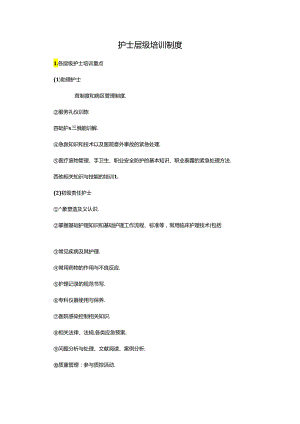 护士层级培训制度.docx