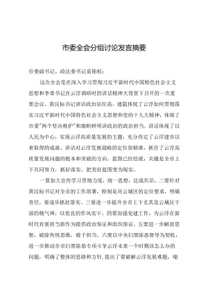 市委全会分组讨论发言摘要.docx