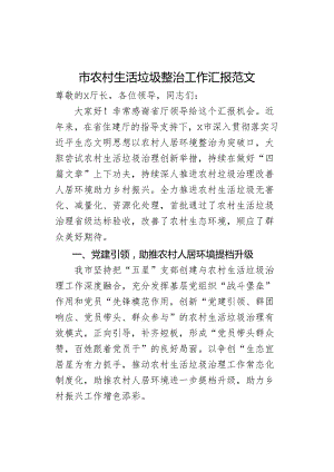 市农村生活垃圾整治工作汇报总结报告.docx
