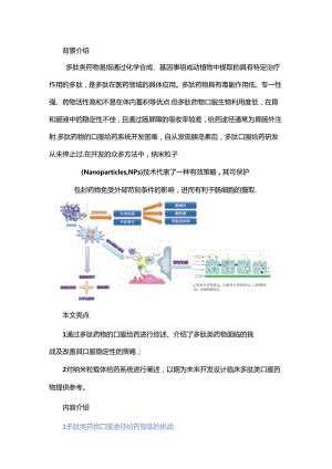 多肽药物口服给药稳定性研究进展.docx