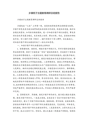 乡镇班子主题教育调研总结报告.docx