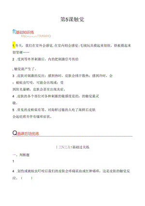 第5课 触觉 同步分层作业 科学六年级下册（青岛版）.docx
