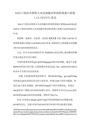 RNA干扰技术抑制人内皮细胞非肌肉肌球蛋白重链ⅡA（MYH9）表达.docx