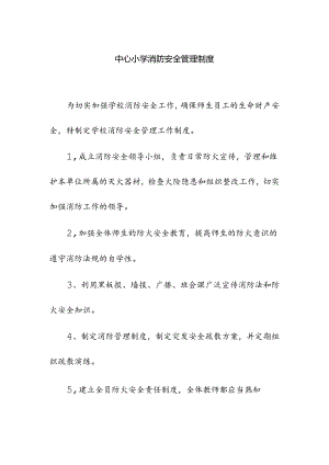 中心小学校消防安全管理制度.docx