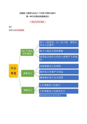部编版六年级道德与法治下册期末复习知识清单.docx