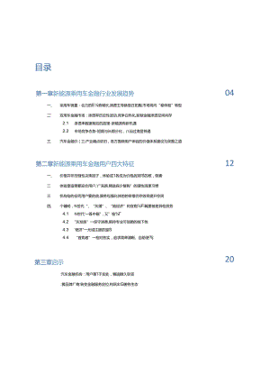 2024年中国汽车金融报告- 聚焦新能源 强化体验感 突围价格战.docx