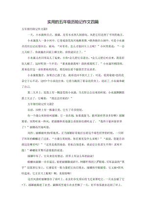 实用的五年级历险记作文四篇.docx