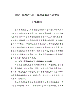 坚定不移推进长江十年禁渔谱写长江大保护新篇章.docx