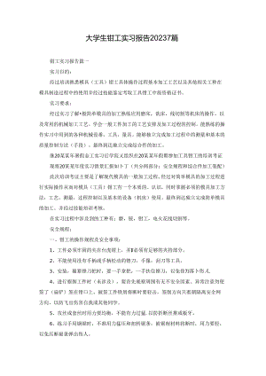 大学生钳工实习报告20237篇.docx