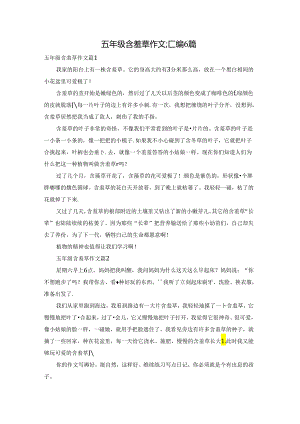 五年级含羞草作文汇编6篇.docx