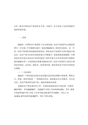 2023年中国知识产权保护状况报告.docx