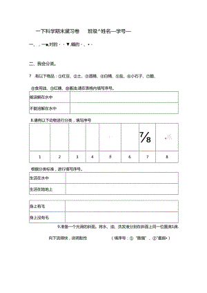 小学科学教科版（2017）教学：一下科学期末复习卷.docx