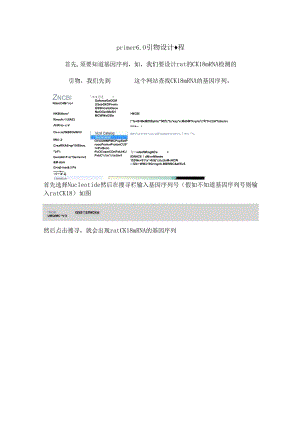 primer 60 引物设计教程.docx