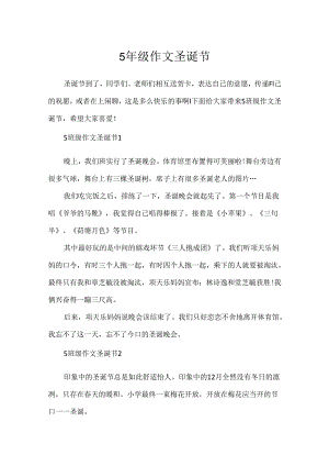 5年级作文圣诞节.docx