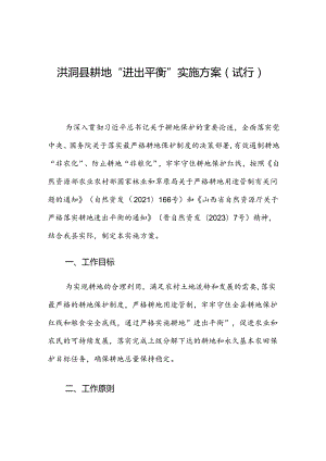洪洞县耕地“进出平衡”实施方案（试行）.docx