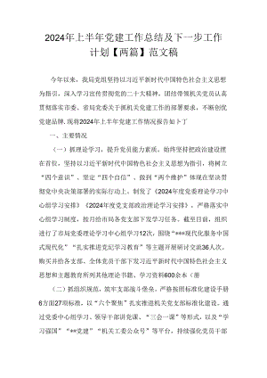 2024年上半年党建工作总结及下一步工作计划【两篇】范文稿.docx