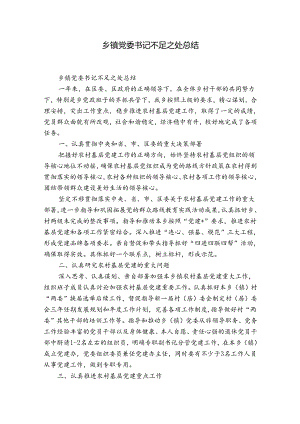 乡镇党委书记不足之处总结.docx