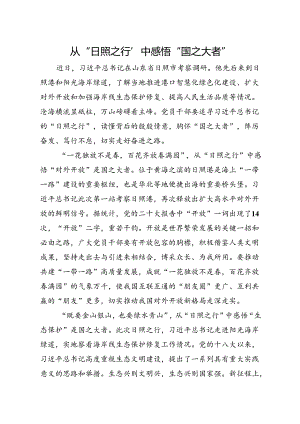 从“日照之行”中感悟“国之大者”.docx