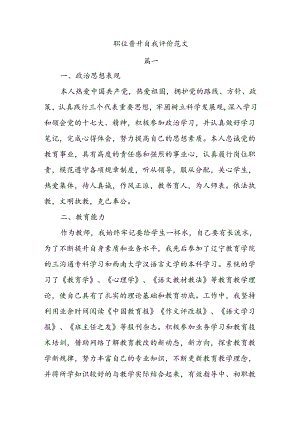 职位晋升自我评价范文.docx