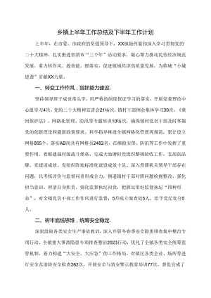 乡镇上半年工作总结及下半年工作计划.docx