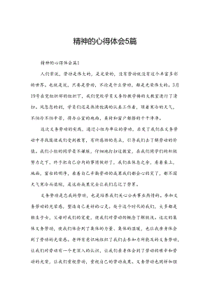 精神的心得体会5篇.docx