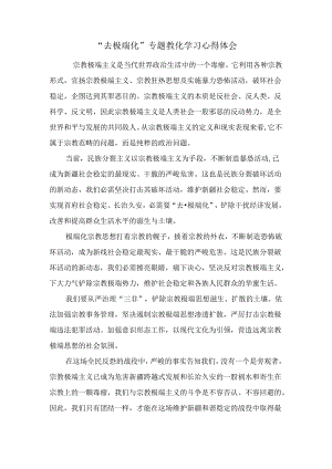 “去极端化”专题教育学习心得体会.docx