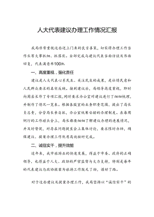 乌兰浩特市人大代表建议办理工作情况汇报.docx