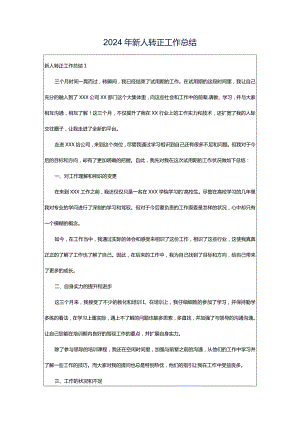 2024年新人转正工作总结.docx