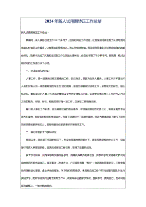 2024年新人试用期转正工作总结.docx