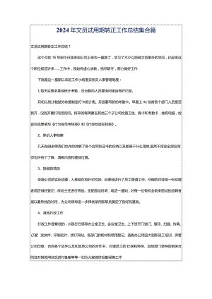 2024年文员试用期转正工作总结集合篇.docx
