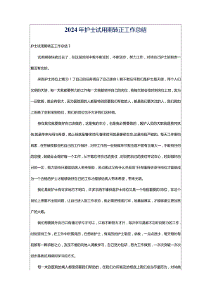 2024年护士试用期转正工作总结.docx