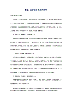 2024年护理工作总结范文.docx