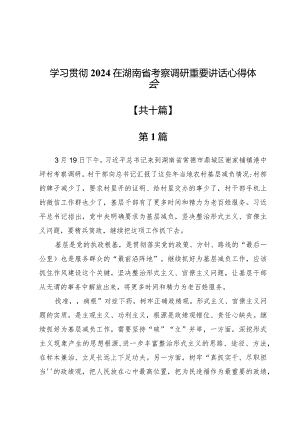 学习贯彻2024在湖南省考察调研重要讲话心得体会10篇.docx