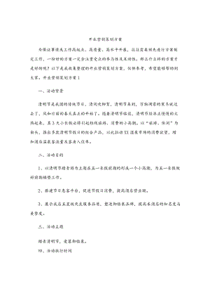 开业营销策划方案.docx