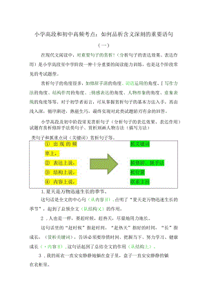 小学高段和初中高频考点：如何品析含义深刻的重要语句.docx