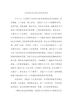 在市委全会分组讨论时的发言.docx