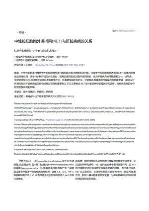 中性粒细胞胞外诱捕网（NET）与肝脏疾病的关系.docx