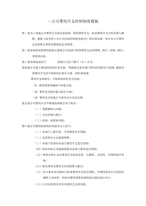 ____公司费用开支控制制度模板.docx