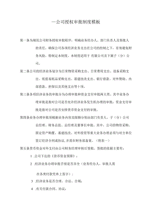 ____公司授权审批制度模板.docx