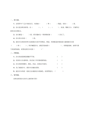 粤教粤科版小学科学四上第二单元第8课《各种各样的岩石》练习.docx