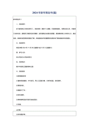 2024年新年策划书(篇).docx