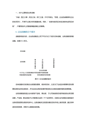 终于有人把“BLM战略规划7步法”说清楚了！.docx