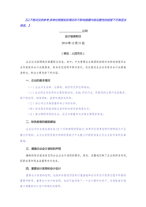 审计附注(财政局).docx