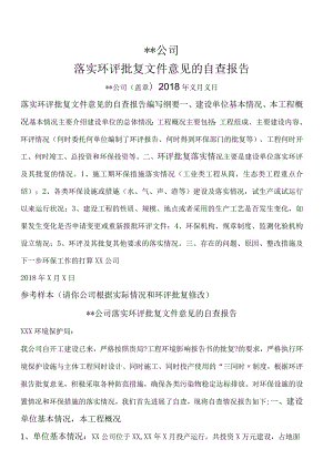 落实环评批复文件意见自查的报告参考格式.docx